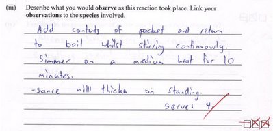 Describe your observations when making the sauce... Describe your observations when making the sauce...