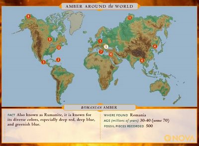 Map of Amber around the World