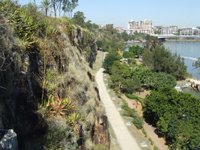 Kangaroo Point Cliffs