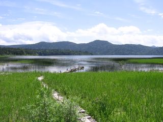  oze: the path to the lake