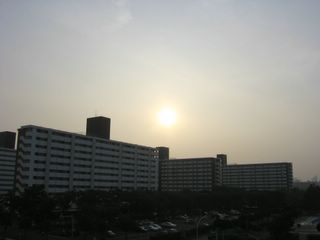  sunside
