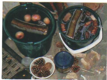 two buckets with apples and wood showing white bacteria