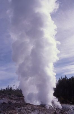 Steamboat Geyser in steam phase on May 2, 2000 at 10:00 AM (5:00 AM eruption); Norris Geyser Basin; NPS photo (Tom Cawley) 
