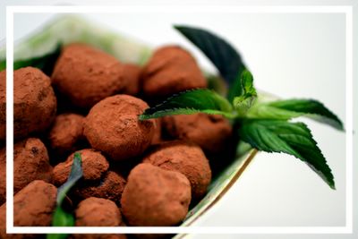photograph picture recipe how to make dark sinful rich delicious chocolate mint truffles