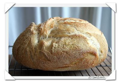2006 the new york times no knead bread no-knead bread attempt by sam breach of becks & posh food blog with notes on high altitude baking and baking the recipe without a dutch oven or le creuset with lid - bake directly on a baking sheet 