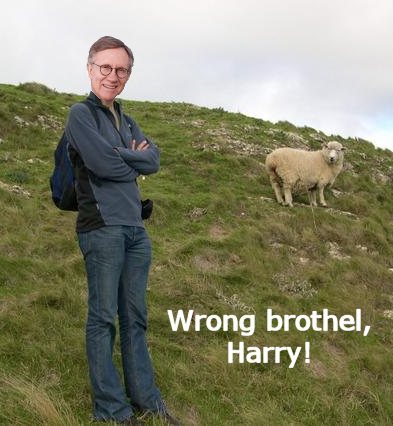 Harry Reid's brothel mistake