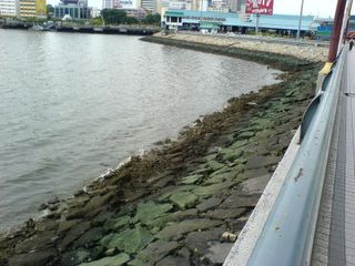 Cleaner Side Of The Causeway