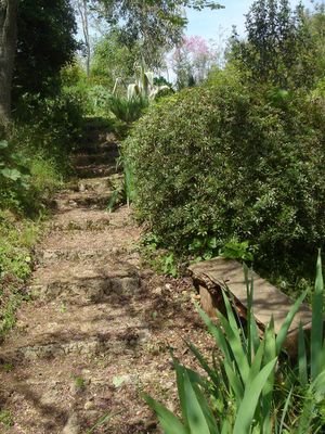 Proof i grumble to excess: path to 'Christine's bench' that I cleared of own accord.