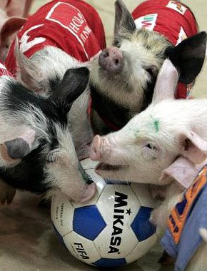 Calcio