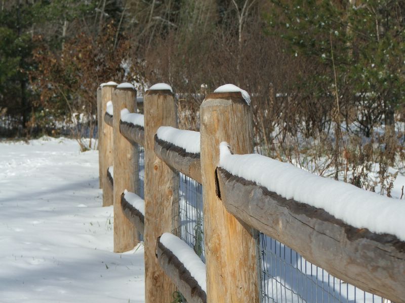 This year's first Snow Fall