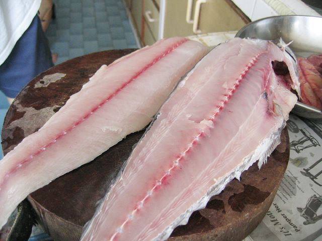 mackerel fish 4