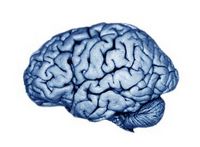 blue brain project