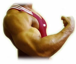 biceps-shot.jpg