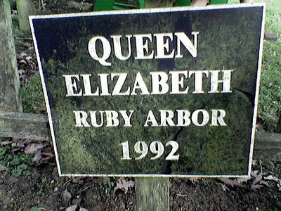 queen elizabeth ruby arbor 1992
