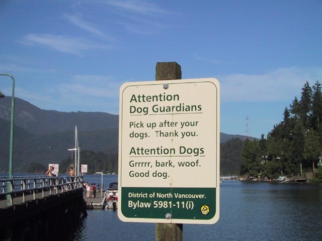Attention dog owners