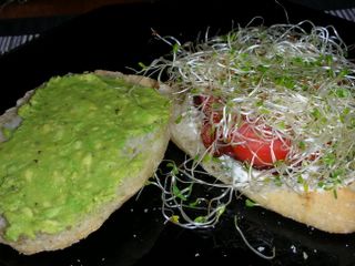 Yummy BLTs with avocado and alfalfa sprouts on focaccia
