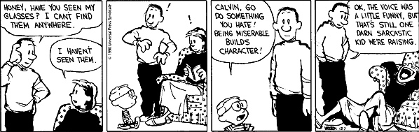 Image result for calvin and hobbes character building
