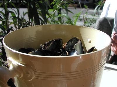Remnants of the wonderful moules