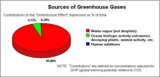 Human Contribution to Greenhouse Gasses