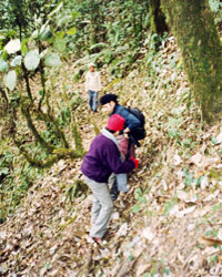 Sudeshna and Bhutto slugging it out