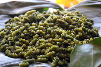 photograph picture of some Nama otherwise known as Sea Grapes bought at the market in Savusavu, Fiji