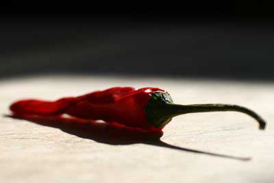 photograph picture of homegrown chilli