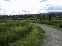 Trail behind the Capital News Centre