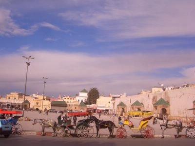 Horse-drawn carriages in Meknes, Morocco