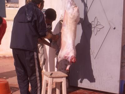Aid Kbir 2006, disemboweling the sheep