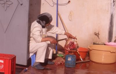 Aid Kbir 2006, scorching & de-horning sheep