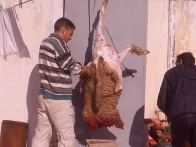 Aid Kbir 2006, skinning the sheep