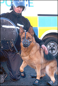 Police Dog in boots