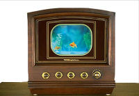 Fish Tank TV