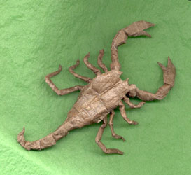 Origami Scorpion