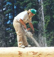 Lori the Log Builder