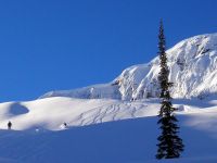 Powder Skiing at Chatter Creek Cat Skiing