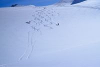 Snow Skiing on Vertebrae Glacier at Chatter Creek by Wendy Robinson