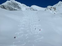 Cat Skiing provides Frest Tracks in Unbroken Snow