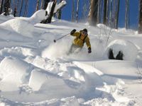 Enchanted Forest at Chatter Creek Cat Skiing