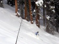 Tree Skiing at Chatter Creek Cat Skiing