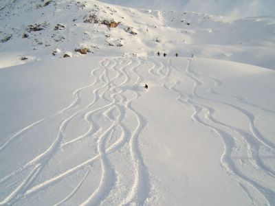 Powder Skiing on upper Lodge Ridge at Chatter Creek