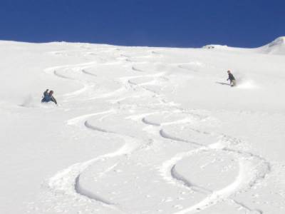 Powder Skiing in Wonderland