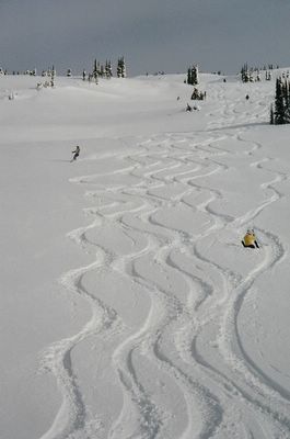 Chatter News Cat Skiing Photos