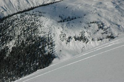 Looking down on Lodge Ridge from Super Spruce on East Ridge at Chatter Creek