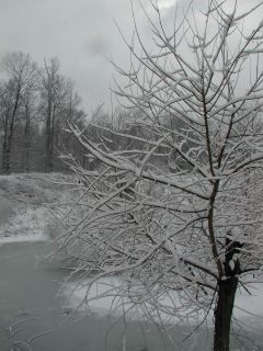 Snowy Pond Near Bull Run