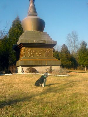 Cosi & Migyur Dorje