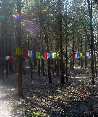 Prayer Flags