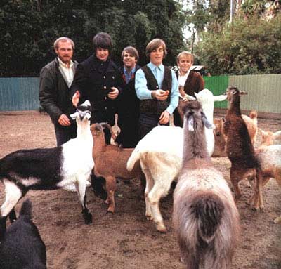 The image “http://photos1.blogger.com/img/212/2020/1024/BEACHBOYS-PETSOUNDS-pic1opt.jpg” cannot be displayed, because it contains errors.