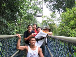 Finally we have reached the tree top bridge
