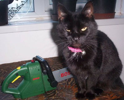 Cat%20with%20Chainsaw.jpg